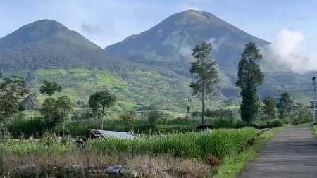 Tanah 2249 Meter Persegi, Dikaki Gunung Sindoro, Cocok Untuk Glamping