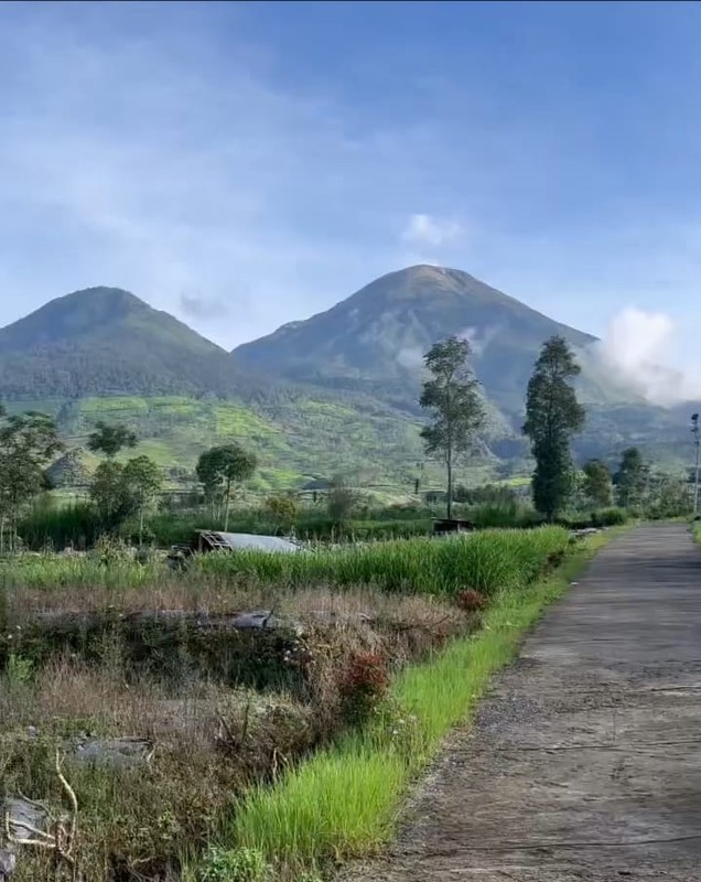 Tanah 2249 Meter Persegi, Dikaki Gunung Sindoro, Cocok Untuk Glamping