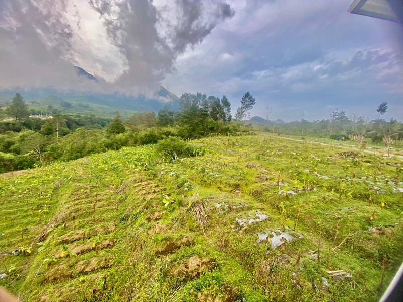Tanah 2249 Meter Persegi, Dikaki Gunung Sindoro, Cocok Untuk Glamping