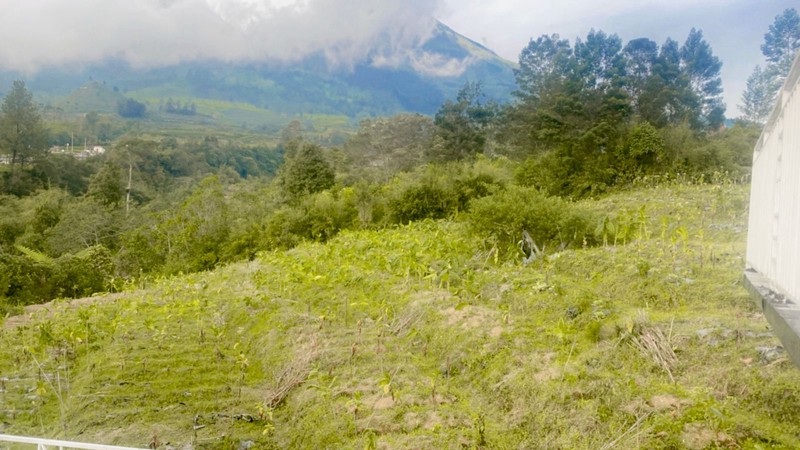 Tanah 2249 Meter Persegi, Dikaki Gunung Sindoro, Cocok Untuk Glamping