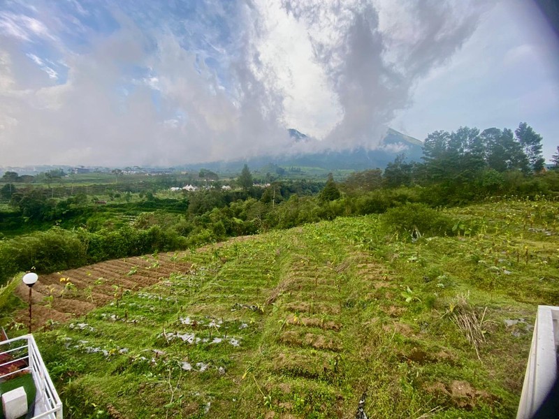 Tanah 2249 Meter Persegi, Dikaki Gunung Sindoro, Cocok Untuk Glamping