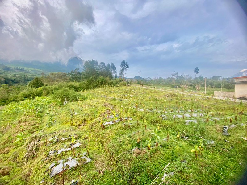 Tanah 2249 Meter Persegi, Dikaki Gunung Sindoro, Cocok Untuk Glamping