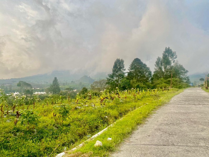 Tanah 2249 Meter Persegi, Dikaki Gunung Sindoro, Cocok Untuk Glamping