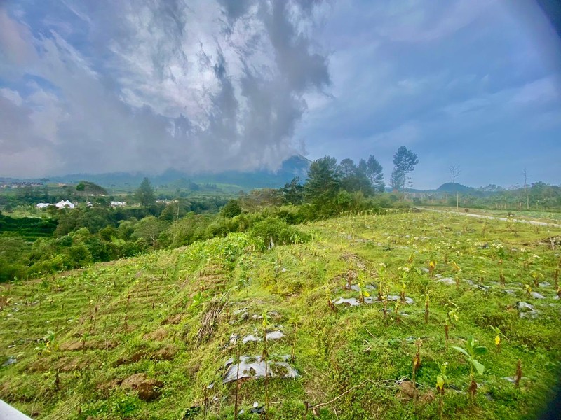 Tanah 2249 Meter Persegi, Dikaki Gunung Sindoro, Cocok Untuk Glamping
