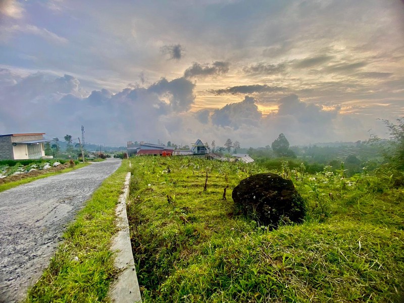 Tanah 2249 Meter Persegi, Dikaki Gunung Sindoro, Cocok Untuk Glamping
