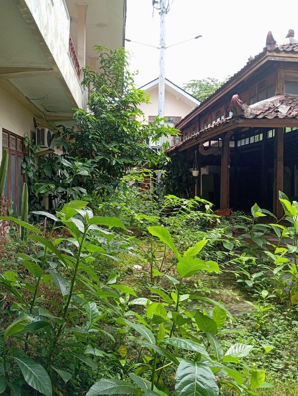 Tanah Bonus Rumah Lama Lokasi Dekat Pasar Ngasem, Kraton