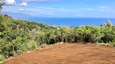 Ocean View Land in Lovina - Perfect for Resort or Private Villa