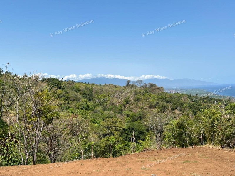 Ocean View Land in Lovina - Perfect for Resort or Private Villa