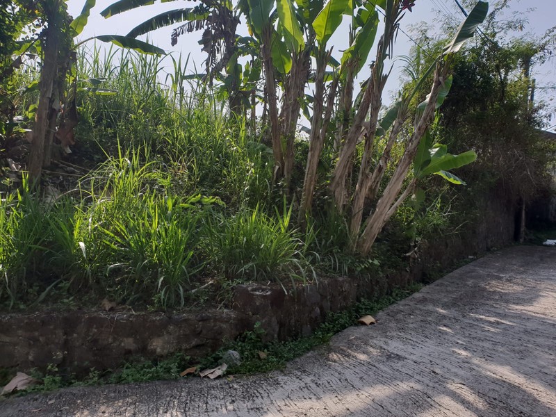 Tanah 355 Meter Persegi Dekat RS Sedayu Dan Universitas Mercubuana, Argomulyo, Sedayu, Bantul, Yogyakarta