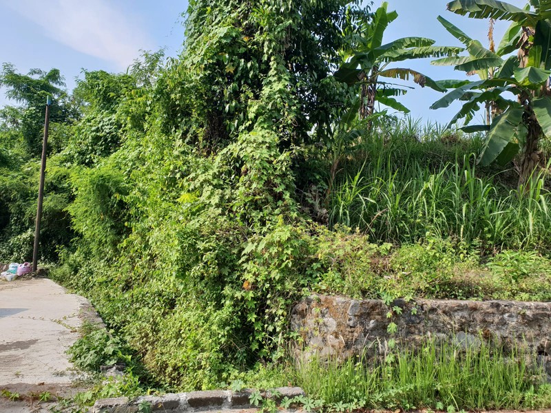 Tanah 355 Meter Persegi Dekat RS Sedayu Dan Universitas Mercubuana, Argomulyo, Sedayu, Bantul, Yogyakarta