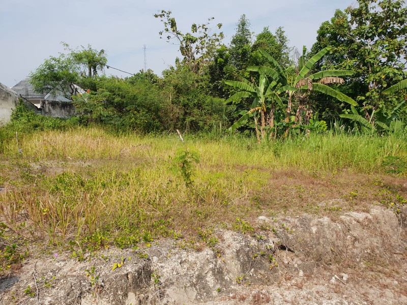 Tanah 359 Meter Persegi Dekat RS Sedayu Dan Universitas Mercubuana, Argomulyo, Sedayu, Bantul, Yogyakarta
