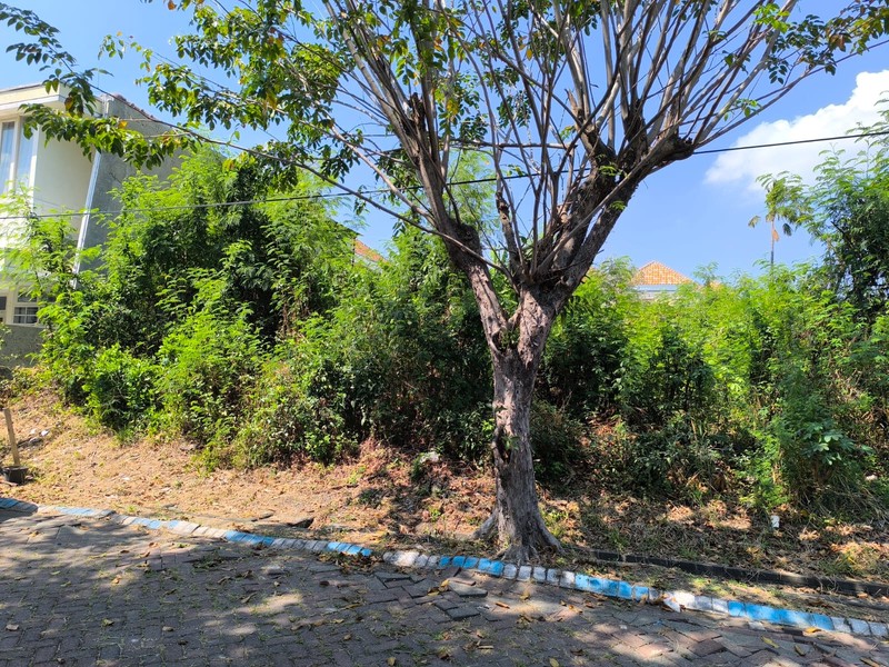MURAH Rp.10 Juta/m2 Dijual Tanah Kavling Perum Pinus Asri - Lembah Harapan - Samping Wisata Bukit Mas Surabaya Barat Dekat Pakuwon Mall, Citraland