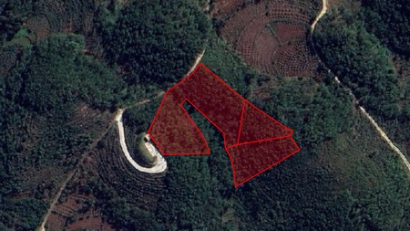 Dijual Tanah Luas 32.420 Meter Persegi Lokasi Dekat Pantai Butuh, Saptosari, Gunung kidul