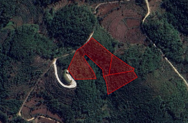 Dijual Tanah Luas 32.420 Meter Persegi Lokasi Dekat Pantai Butuh, Saptosari, Gunung kidul