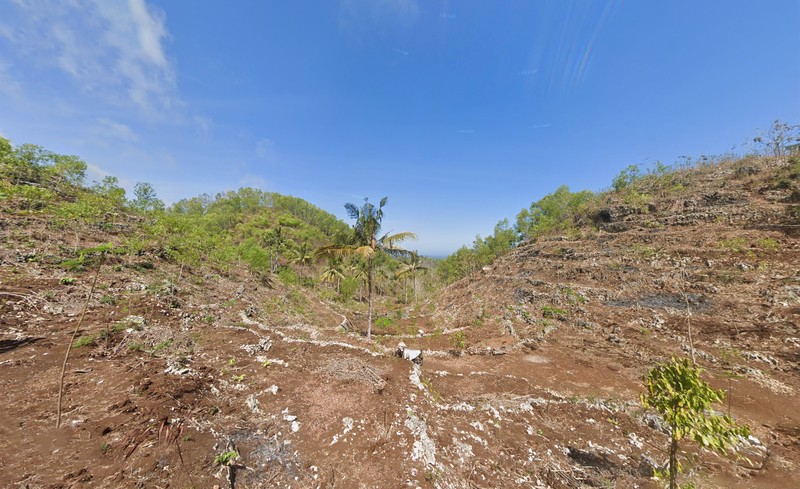 Dijual Tanah Luas 32.420 Meter Persegi Lokasi Dekat Pantai Butuh, Saptosari, Gunung kidul
