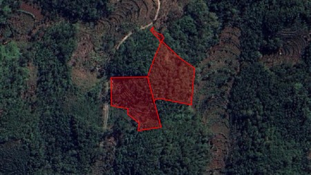 Dijual Tanah Luas 10764 Meter Persegi Lokasi Dekat Pantai Butuh, Saptosari, Gunung kidul