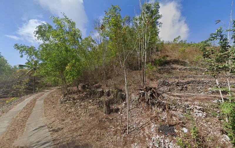 Dijual Tanah Luas 10764 Meter Persegi Lokasi Dekat Pantai Butuh, Saptosari, Gunung kidul