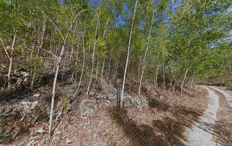 Dijual Tanah Luas 10764 Meter Persegi Lokasi Dekat Pantai Butuh, Saptosari, Gunung kidul