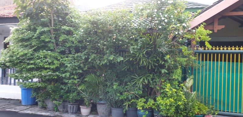  jual rumah surabaya timur