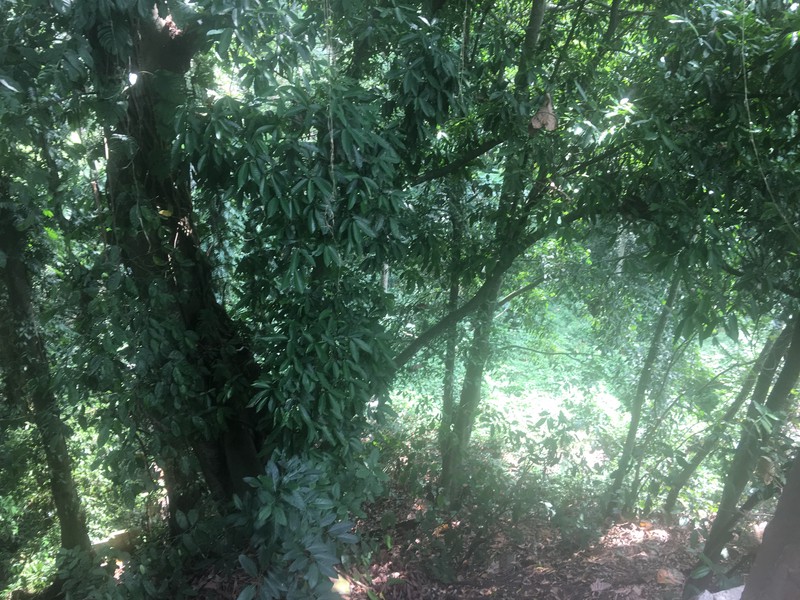 Riverside Commercial Land close to Canggu for Villas & Spa Resort