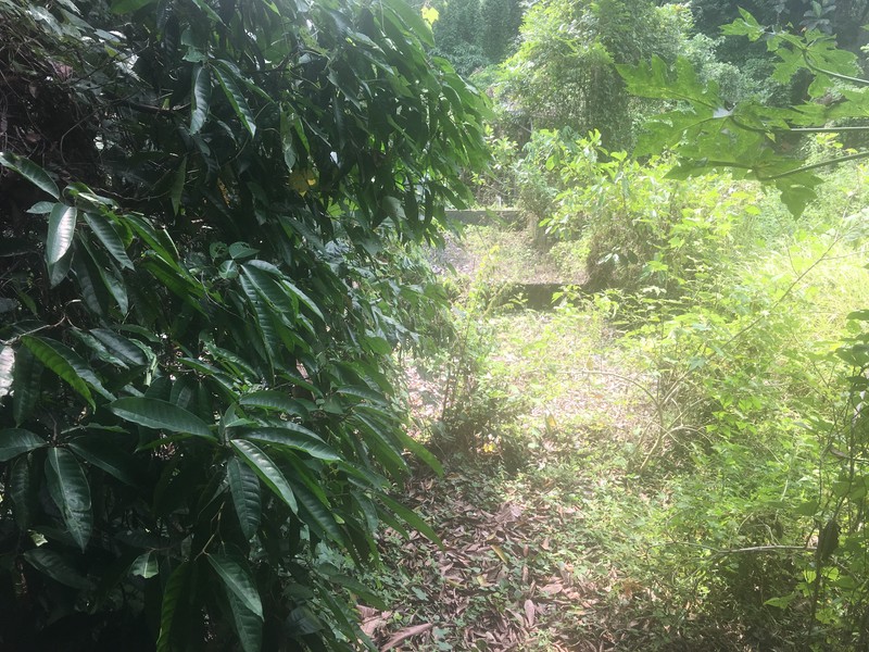 Riverside Commercial Land close to Canggu for Villas & Spa Resort