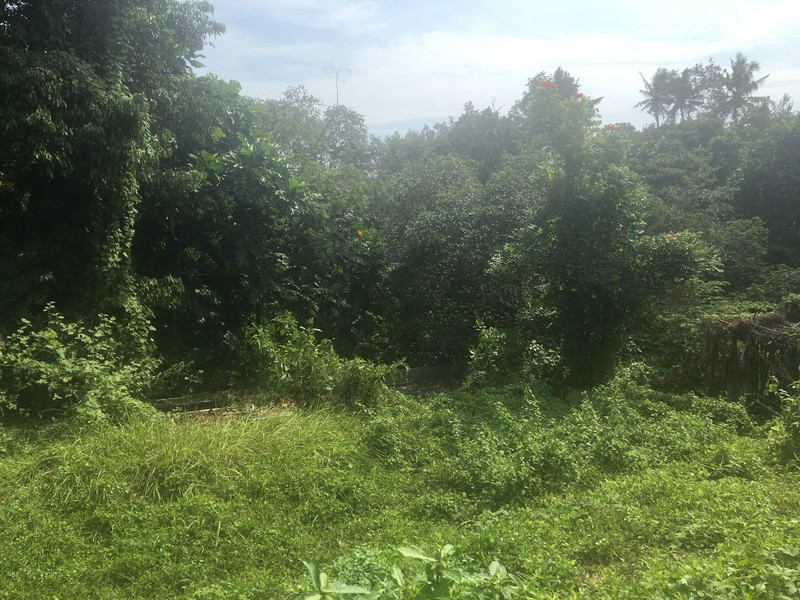 Riverside Commercial Land close to Canggu for Villas & Spa Resort