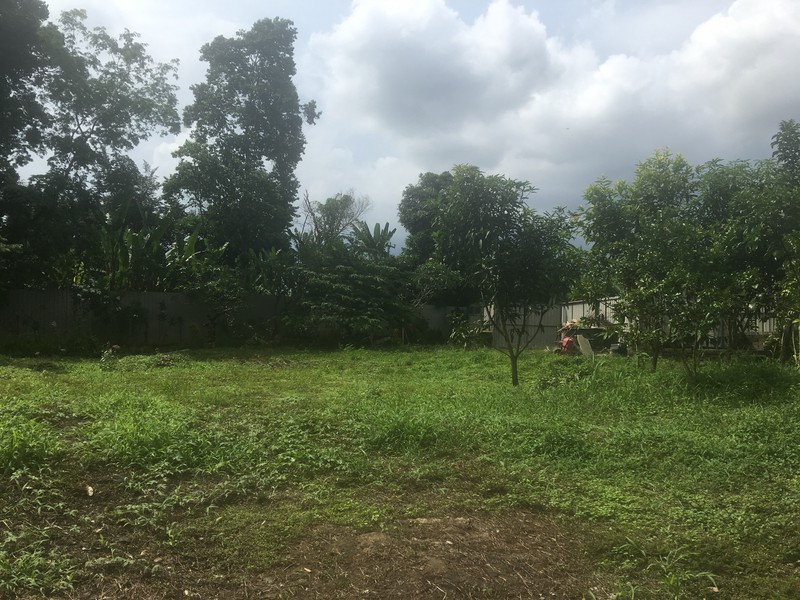 Riverside Commercial Land close to Canggu for Villas & Spa Resort