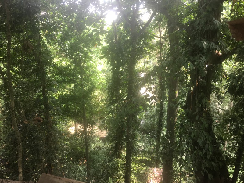 Riverside Commercial Land close to Canggu for Villas & Spa Resort