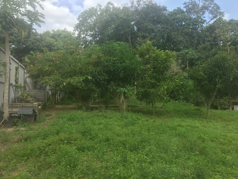 Riverside Commercial Land close to Canggu for Villas & Spa Resort