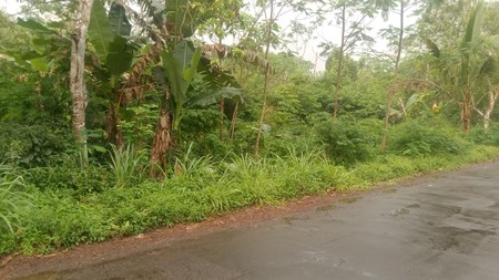 Tanah 1845 Meter Persegi Diarea Wisata Kaliurang Girikerto Turi Sleman