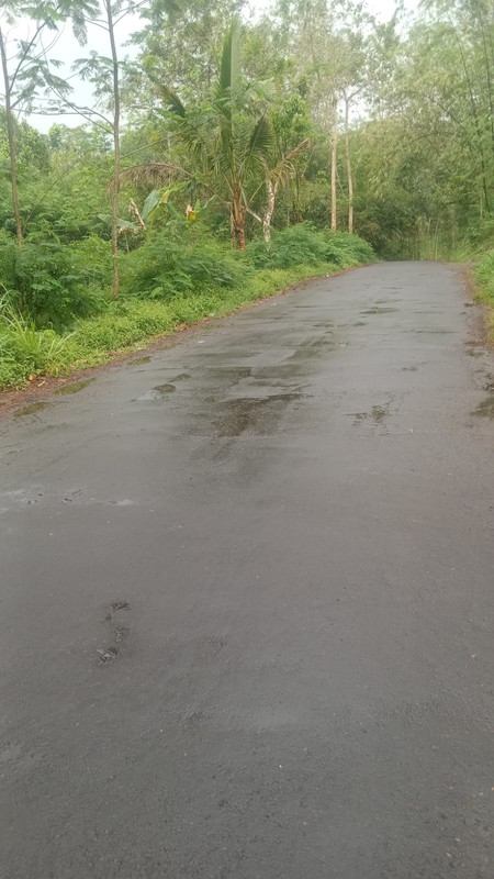 Tanah 1845 Meter Persegi Diarea Wisata Kaliurang Girikerto Turi Sleman