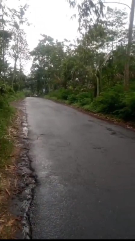 Tanah 1845 Meter Persegi Diarea Wisata Kaliurang Girikerto Turi Sleman