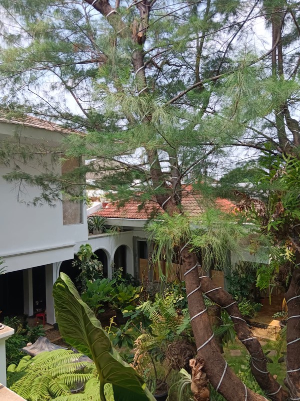 Dijual Rumah siap huni di Jl. Pengadegan Barat Raya Pancoran Jaksel
