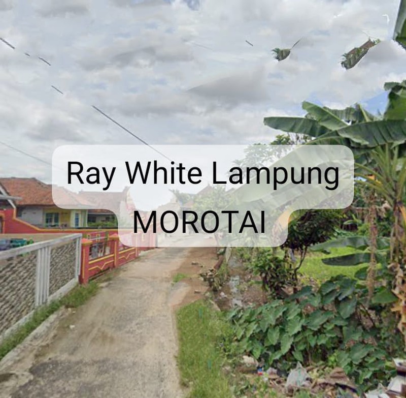 Dijual Tanah cocok untuk Invest pusat kampus UBL bebas banjir 