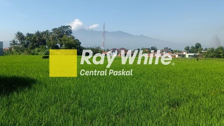 Tanah Sawah di Mainroad Soreang Al Fathu Bandung