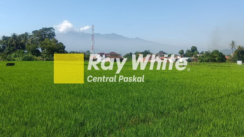 Tanah Sawah di Mainroad Soreang Al Fathu Bandung