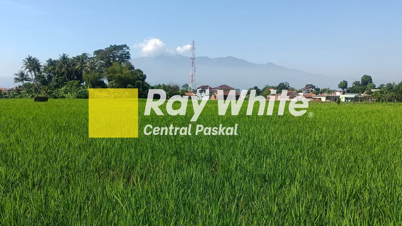 Tanah Sawah di Mainroad Soreang Al Fathu Bandung