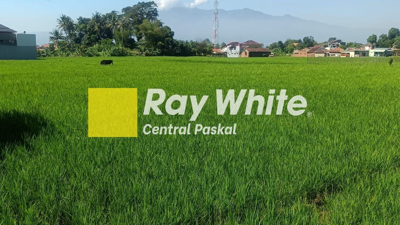 Tanah Sawah di Mainroad Soreang Al Fathu Bandung