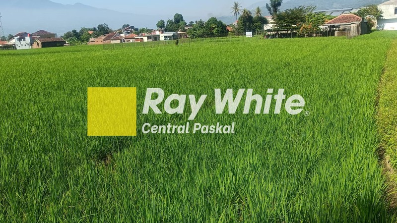 Tanah Sawah di Mainroad Soreang Al Fathu Bandung