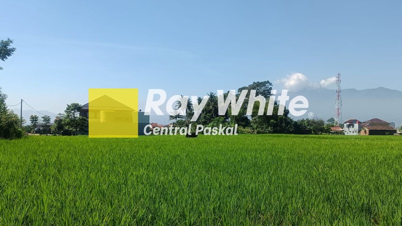 Tanah Sawah di Mainroad Soreang Al Fathu Bandung