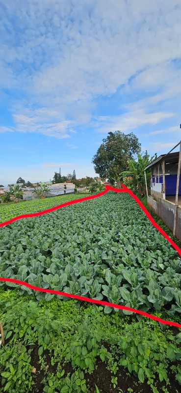 Tanah Murah SHM 420 m&#xb2; Dekat STIKes Rajawali Cocok Usaha