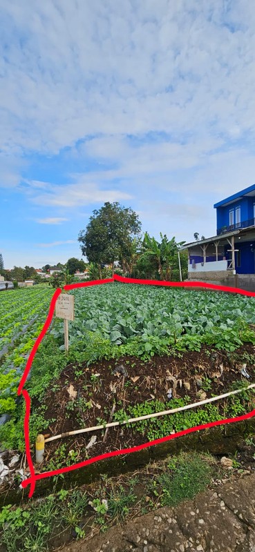 Tanah Murah SHM 420 m&#xb2; Dekat STIKes Rajawali Cocok Usaha