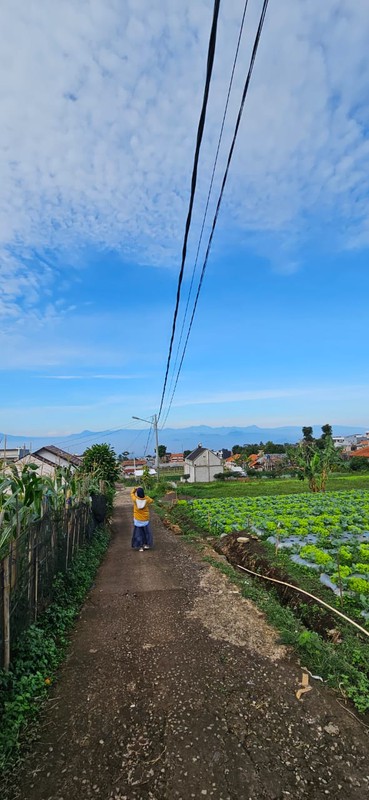 Tanah Murah SHM 420 m&#xb2; Dekat STIKes Rajawali Cocok Usaha