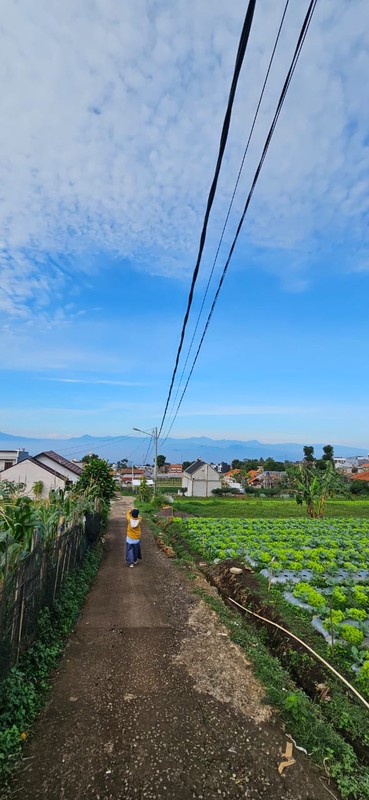 Tanah Murah SHM 420 m&#xb2; Dekat STIKes Rajawali Cocok Usaha