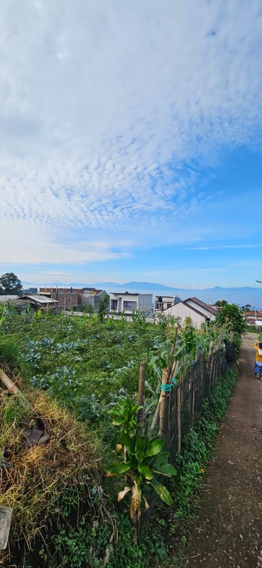Tanah Murah SHM 420 m&#xb2; Dekat STIKes Rajawali Cocok Usaha