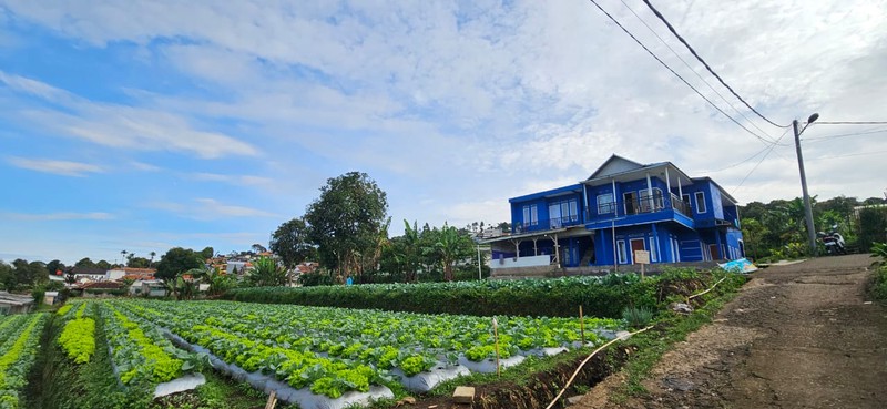 Tanah Murah SHM 420 m&#xb2; Dekat STIKes Rajawali Cocok Usaha