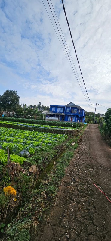 Tanah Murah SHM 420 m&#xb2; Dekat STIKes Rajawali Cocok Usaha