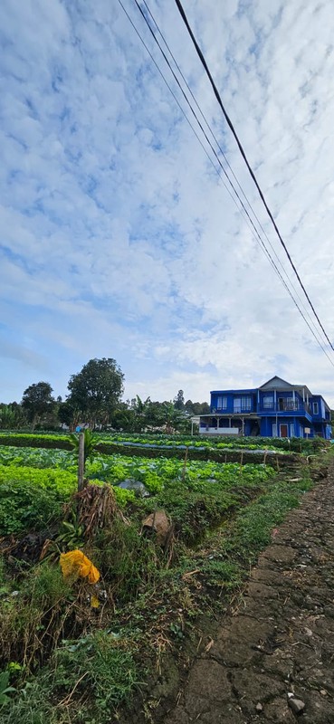 Tanah Murah SHM 420 m&#xb2; Dekat STIKes Rajawali Cocok Usaha