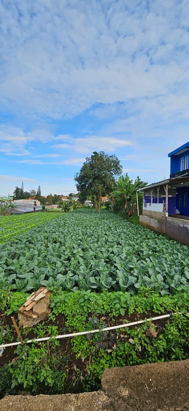 Tanah Murah SHM 420 m&#xb2; Dekat STIKes Rajawali Cocok Usaha