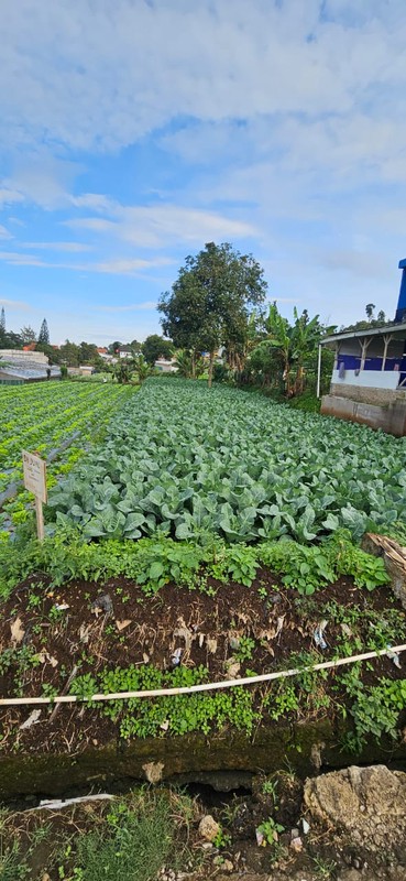 Tanah Murah SHM 420 m&#xb2; Dekat STIKes Rajawali Cocok Usaha